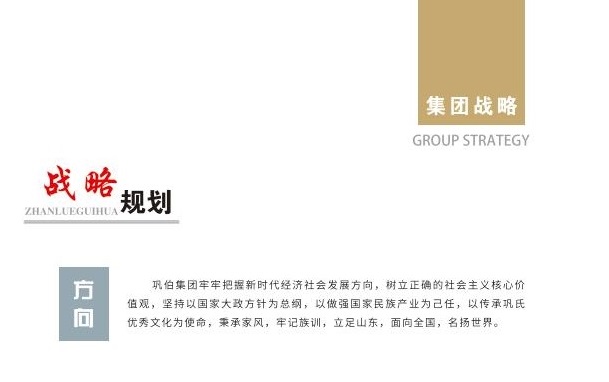 巩伯集团发展规划